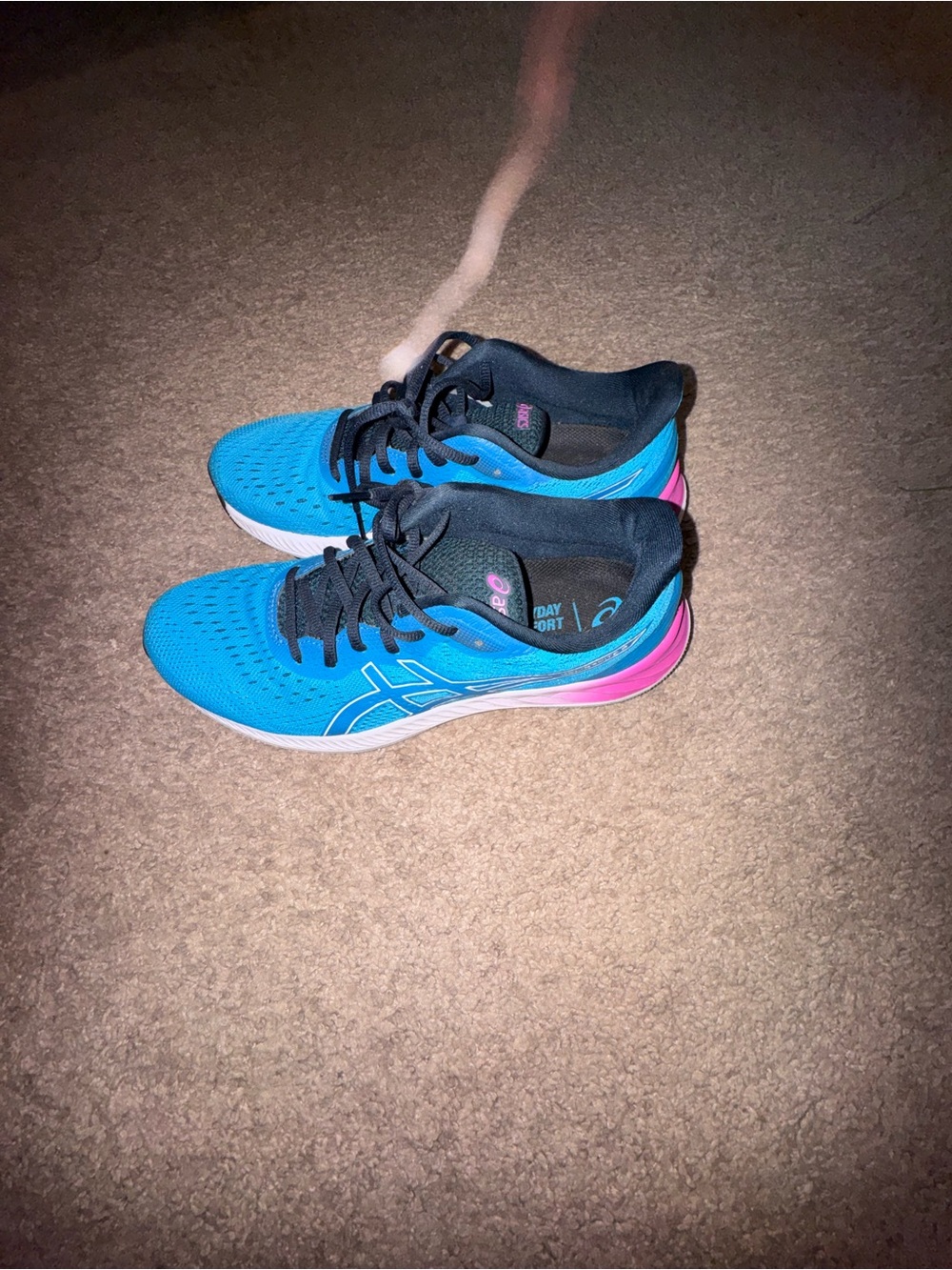 Asics sneakers